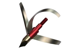 arrow's broadhead