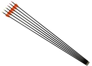 Carbon fiber arrows1