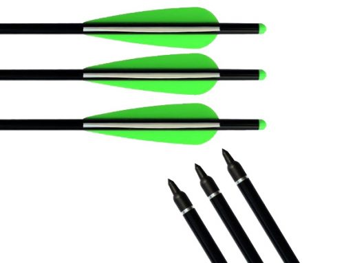 High Quality Fiberglass Arrow for Hunting CFS-7202