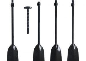 Carbon fiber Dragon Paddles1