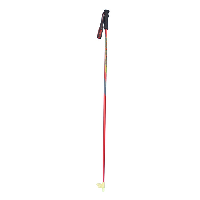 Carbon Fiber Nordic Ski Poles - Carbon Fiber Star