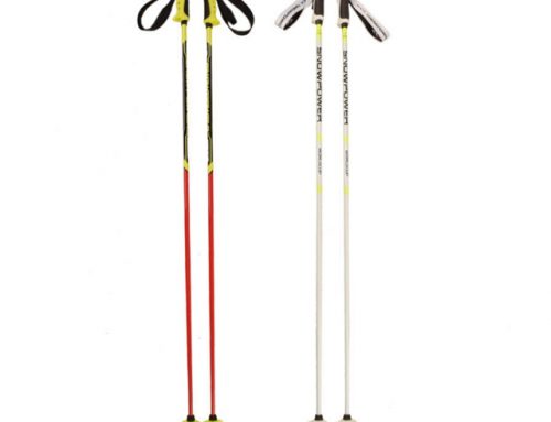 Shock Resistant Absorbers Carbon Fiber Ski Poles